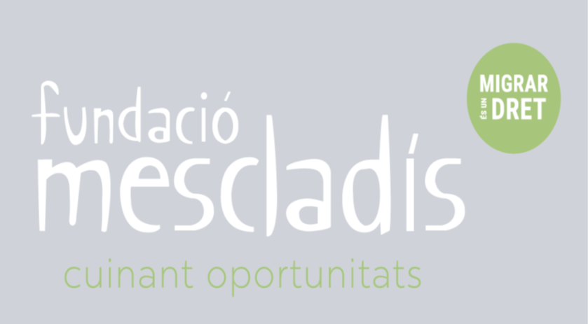 Fundació Mescladís